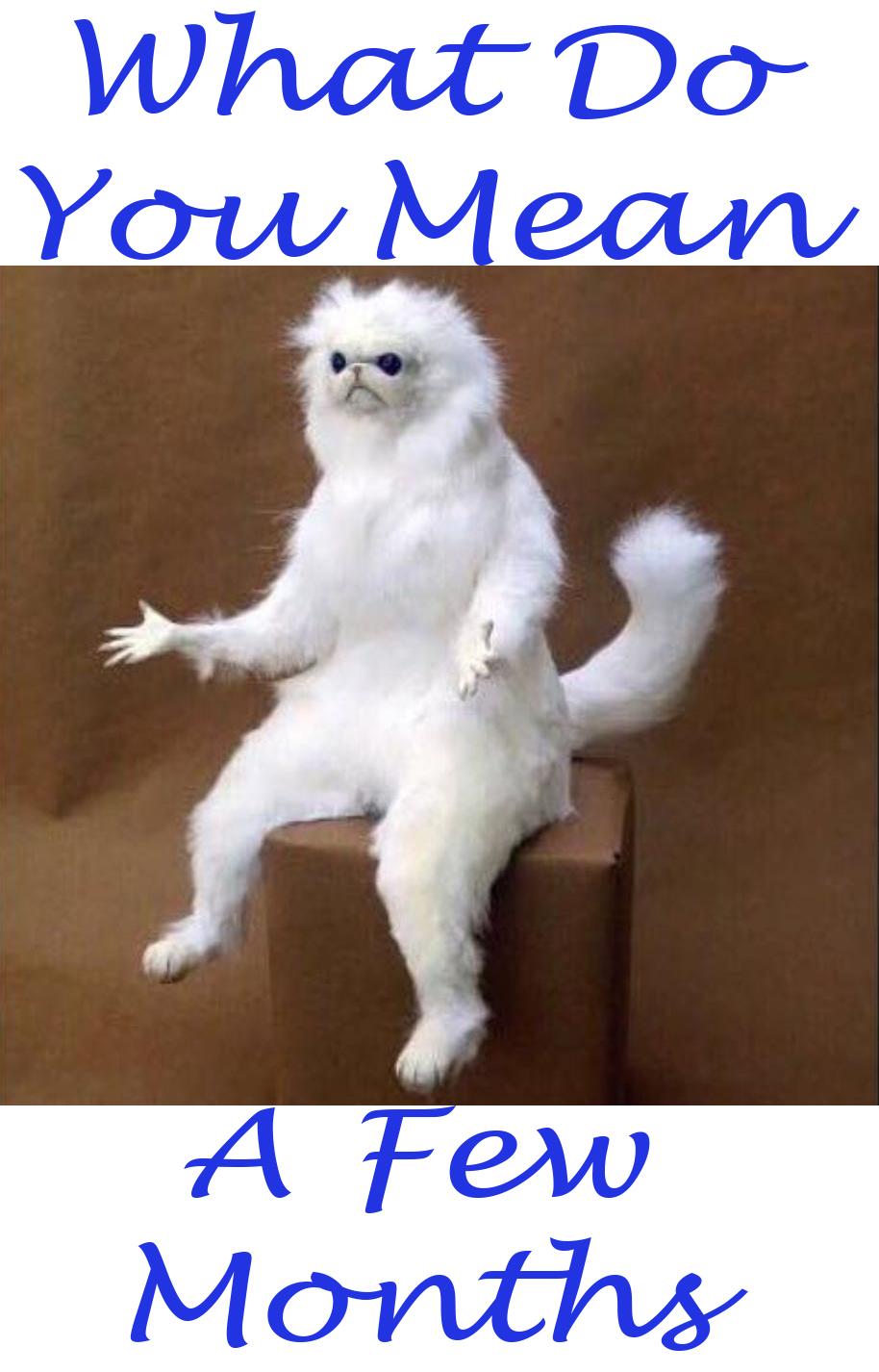 How soon can you start building my swimming pool?